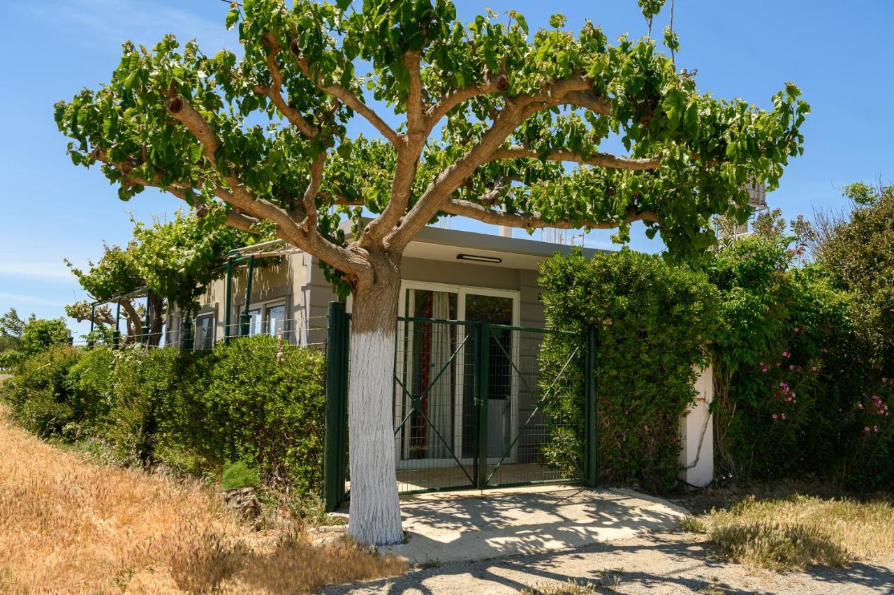 칼라마키 Petrakis Afrathias Garden House 빌라 외부 사진